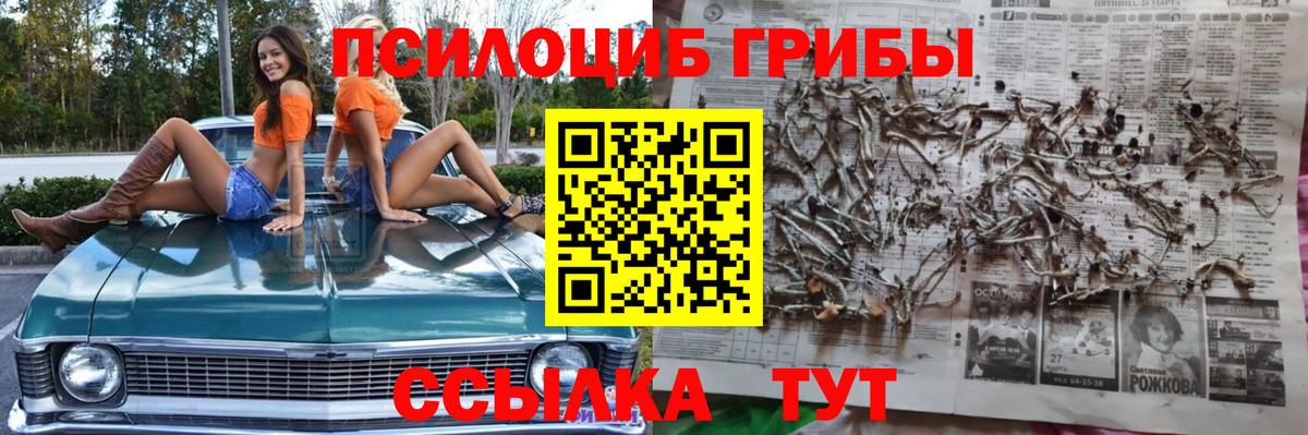 Галлюциногенные грибы мицелий Подольск